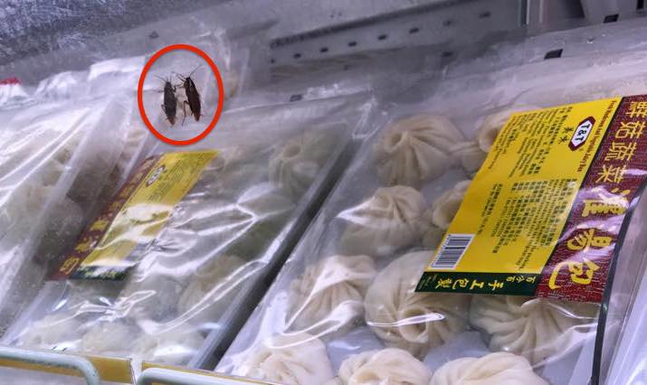 Supermarket Creep Cockroach Spotted Browsing The Dumplings At Hong