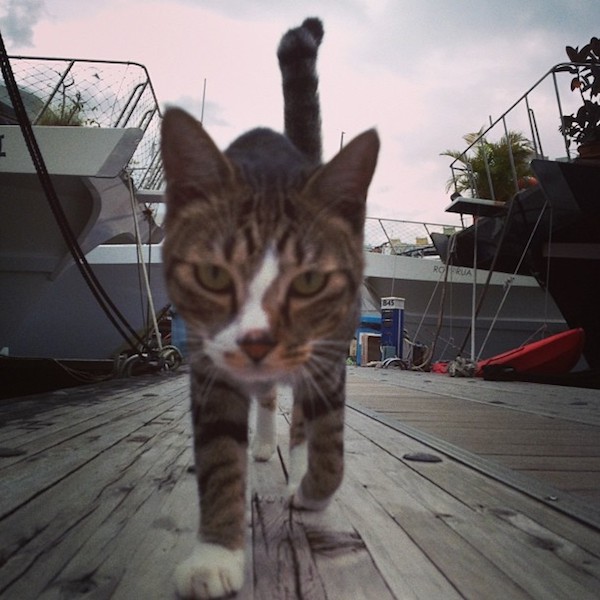 yearbnb discovery bay yearbnb discovery bay