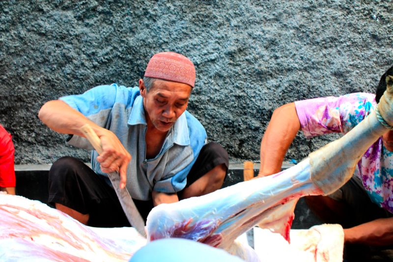 Idul Adha/Coconuts Bali