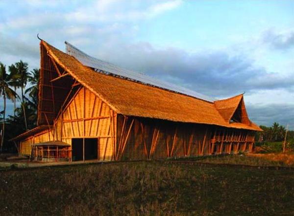 Big Tree Farms Chocolate Bali 