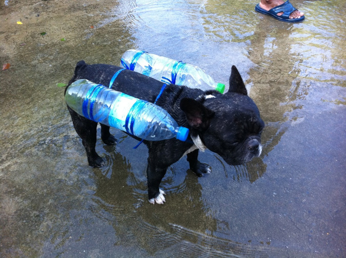 Photo: Thai Flood Hacks