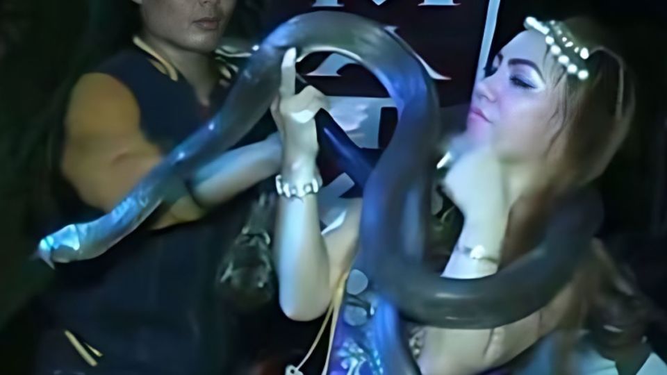 Footage of a previous performance by dangdut singer Irma Bule in which she she danced with pythons. Screengrab: Youtube