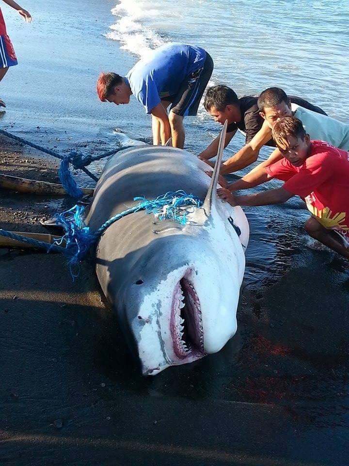 PHOTO: Flord Nicson J. Calawag