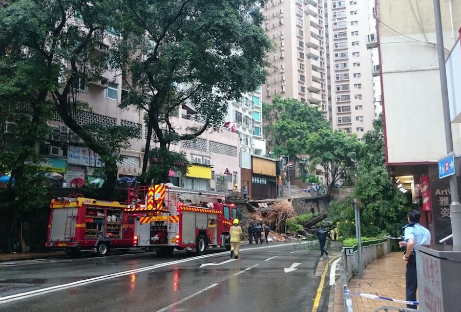 Tree falls at Bonham Road and Centre Street (PHOTOS) | Coconuts