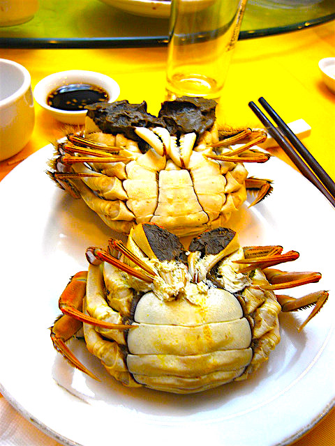 hairy crab underside