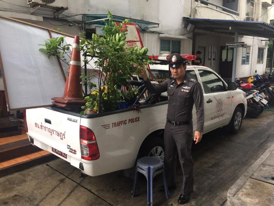 ABOVE: ‘Fuck this tree. So ugly.’