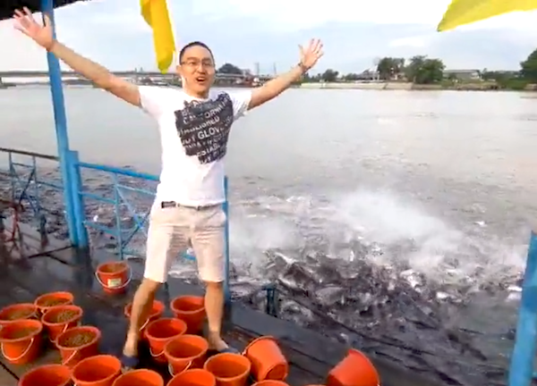 VIDEO: How to mass-feed temple fish in one minute | Coconuts