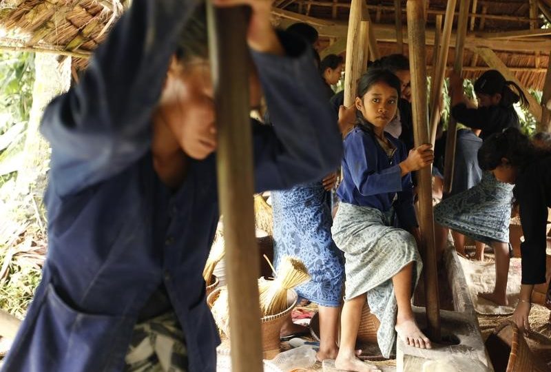 Badui tribe women use wooden sticks to mill paddy at Kanekes village on the outskirts of Lebak regency, Indonesia’s Banten province, April 8, 2009.  REUTERS/Beawiharta 