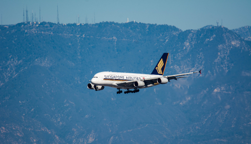 Photo: Glenn Beltz/Flickr