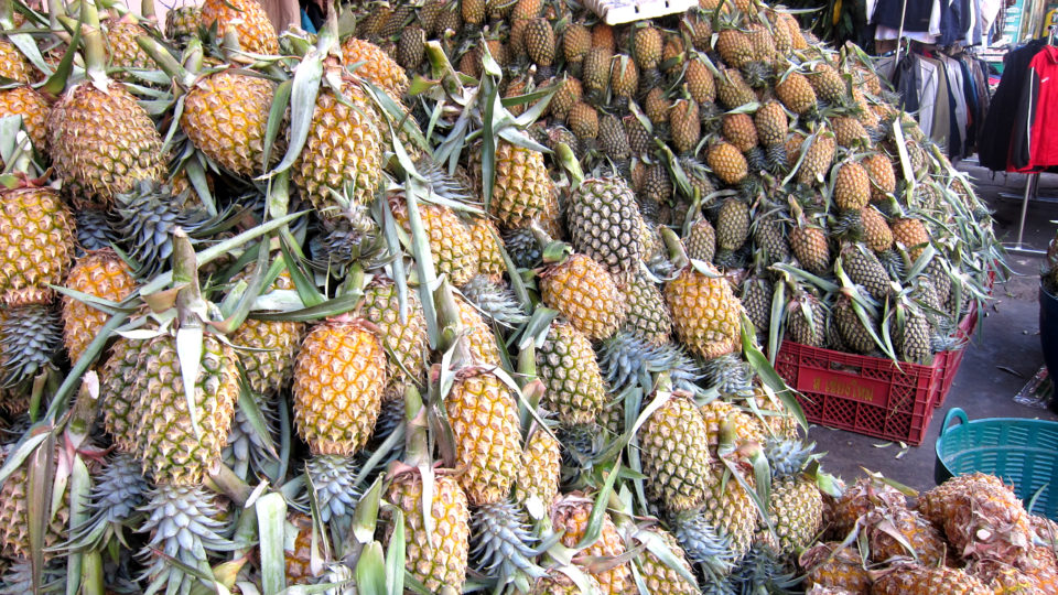 File photo of pineapples: fruitGloss/ Flickr