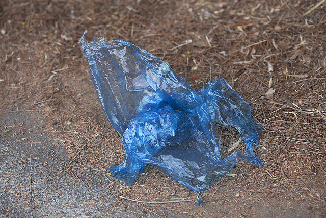 Photo: Flickr/ zeevveez