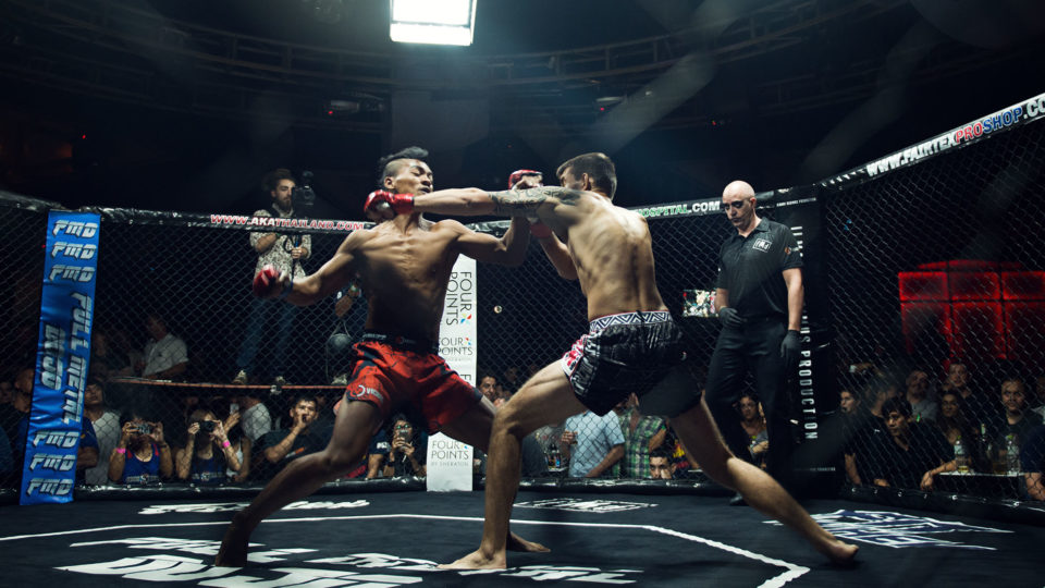 Photo: Stev Bonhage Photography