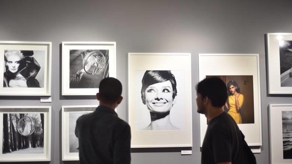 Photo: House of Lucie/ Facebook