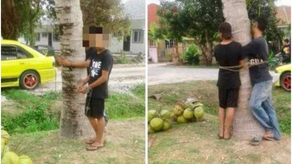 The two thieves, one in his 30s and the other a teenager, were tied to a tree after stealing coconuts. PHOTO: The Star
