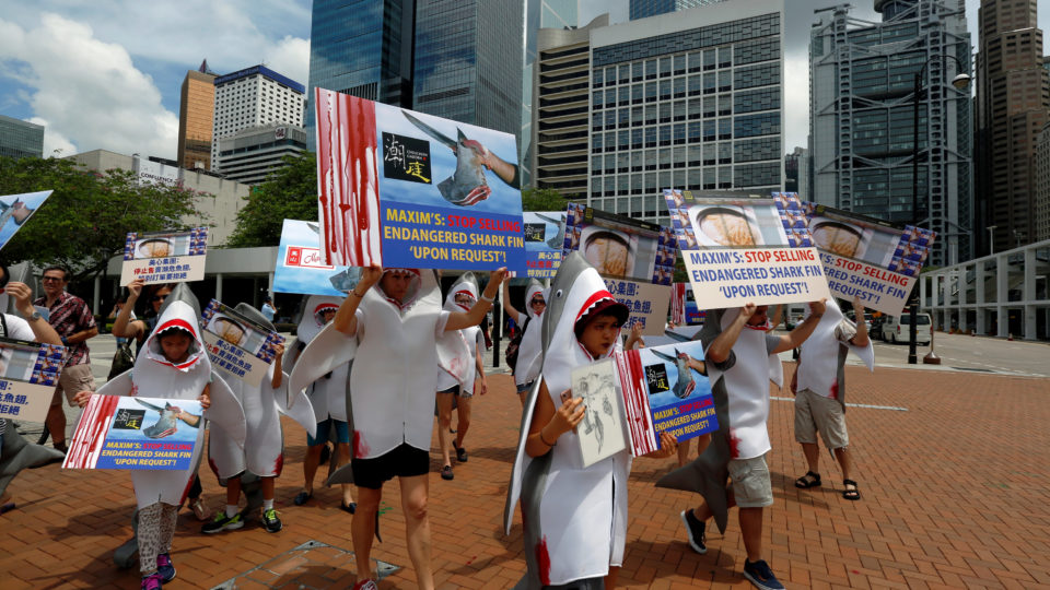 Environmental protection activists protest outside a Chinese restaurant against providing sharks fin soup in Hong Kong on Saturday. REUTERS/Bobby Yip