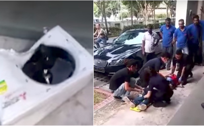 Photo: Video screengrab