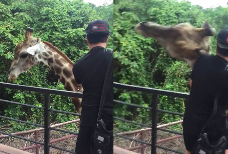 Screenshot from the viral video posted by Surakij Suppachockchai.