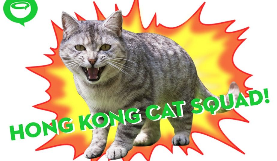 A picture says a thousand words, so we thought we’d provide a mock-up of the fearsome squad for visual effect. Photo (for illustration): Coconuts Media