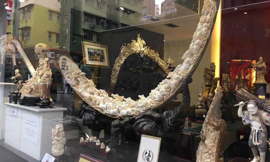 Carved ivory on display in Sheung Wan, where many of the city’s antique shops are concentrated. Photo (for illustration): Annette Chan/Coconuts Media