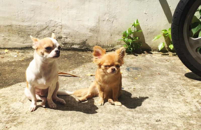 Photo: Coconuts Media