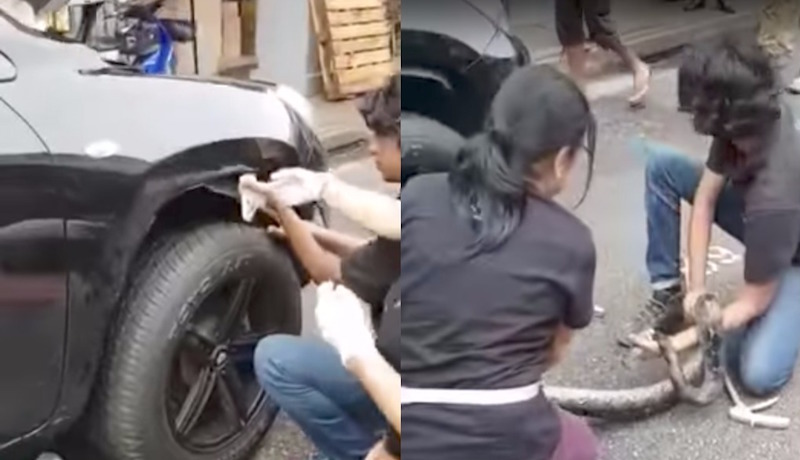 Screengrab from video