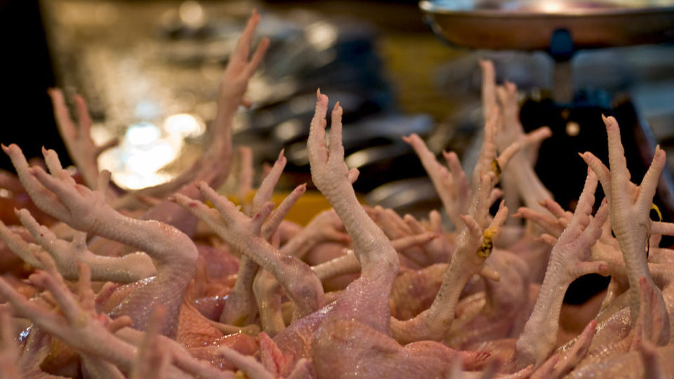 And all the chicken feet across the land cheered for fair pricing 