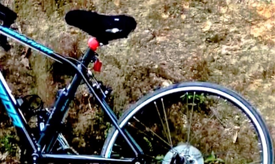 Screenshot: Apple Daily