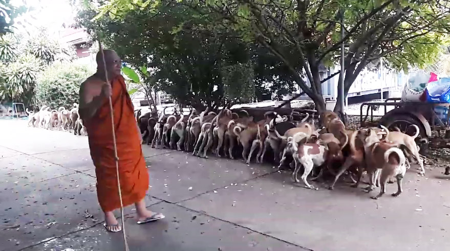 Screenshot: Nattaya Ruenura/ Facebook