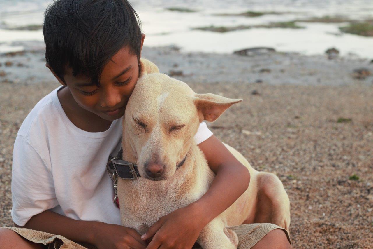 Food marked ‘RW’ means dog meat. Photo: Animals Australia