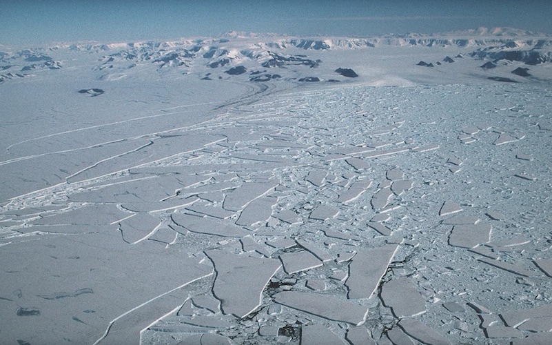 Photo: Video screengrab