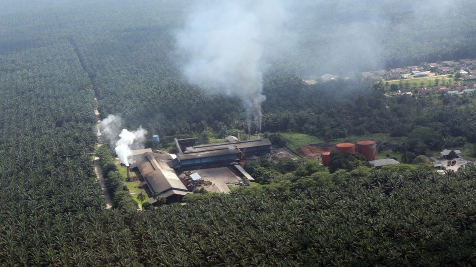 A palm oil mill in Indonesia, where fruit from oil palm trees are processed into crude palm oil to be refined elsewhere into more complex chemicals. Photo by Rhett A. Butler/Mongabay.