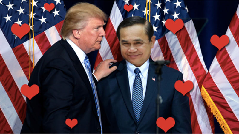 Coconuts photo mockup.