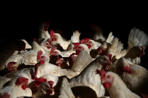 File photo by ABS-CBN News