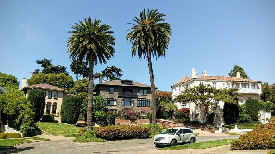 Some of the multi-million dollar mansions on the palm tree-lined Presidio Terrace. Photo (for illustration): Cullen328 via Wikimedia Commons