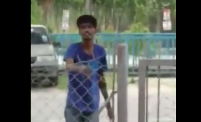 A thief who loves his mangoes.