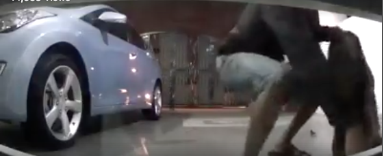 THIEF! via We Are Malaysians Facebook