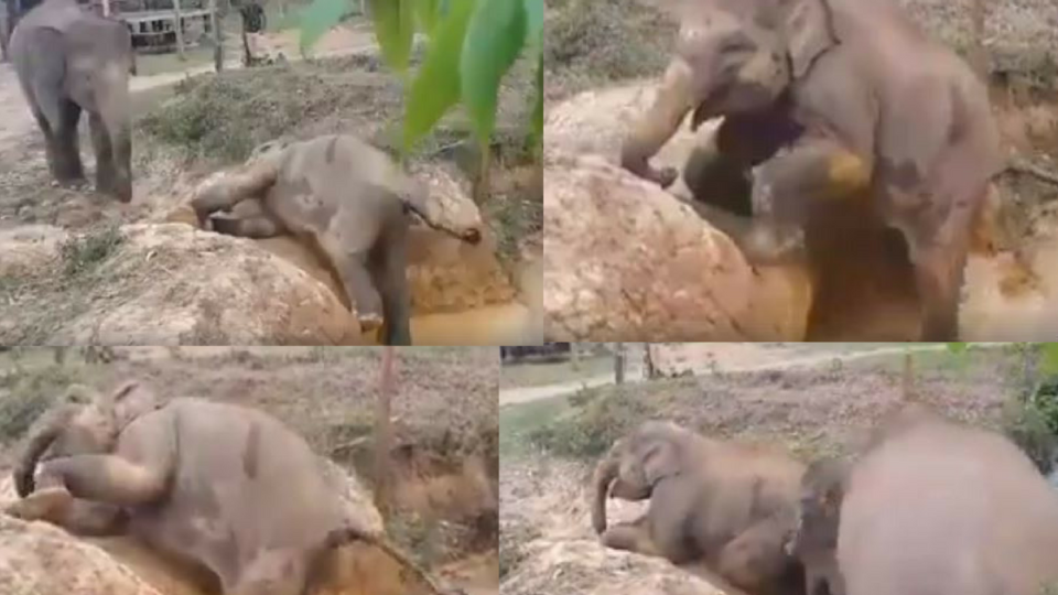 The struggle is real. So is the love.