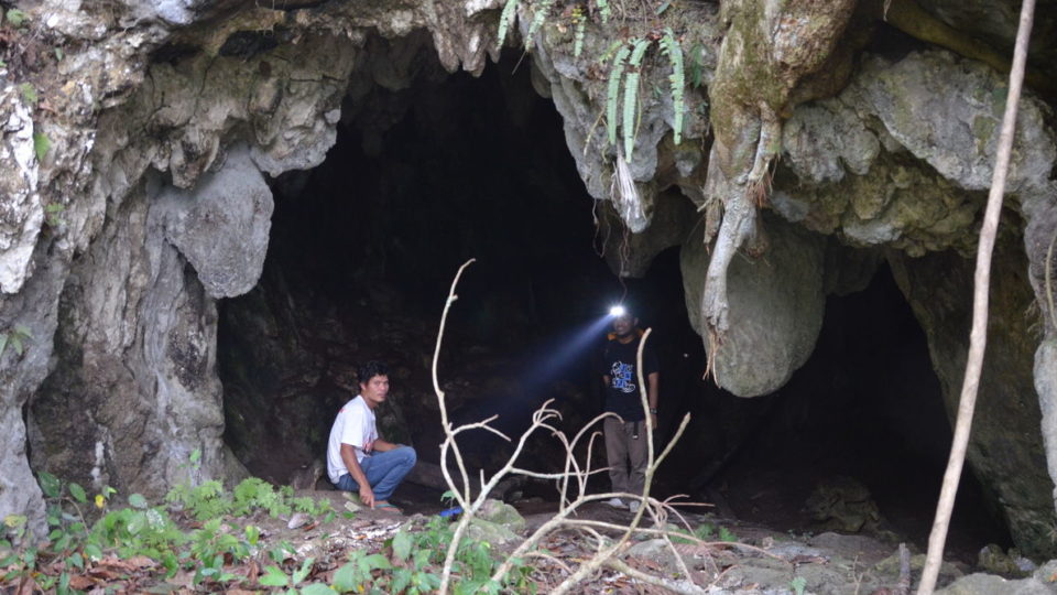 Lida Ajer cave – a small but well decorated front entrance. Photo: Julien Louys, Author provided