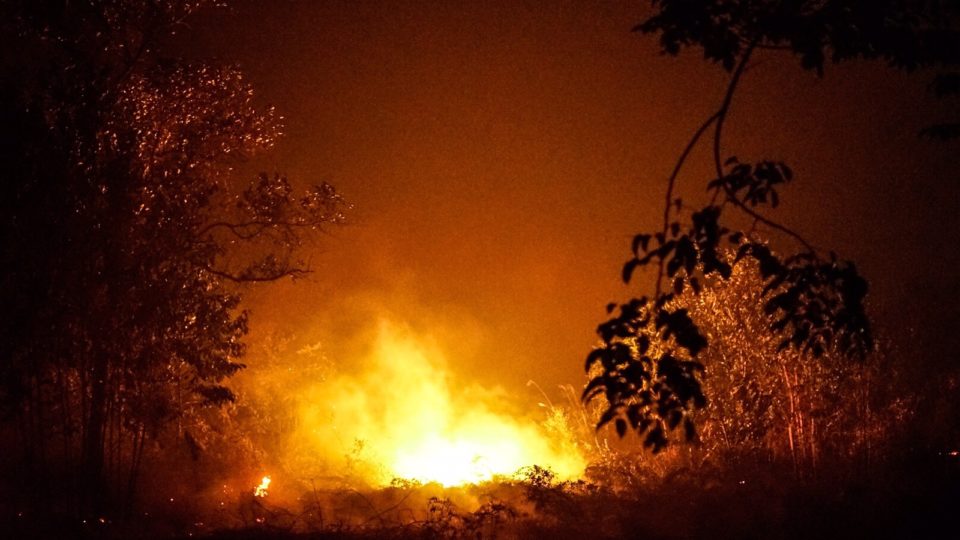 An area of Palangkaraya that was deliberately burned to clear land for palm oil plantations in 2015. Photo: Alexander Hotz / Coconuts Media