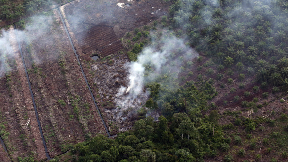 A peat swamp in Sumatra smolders during the 2015 haze crisis. The drainage canals were dug in order to prepare the land for planting with oil palm, but the practice renders the land vulnerable to catching fire. Photo by Rhett A. Butler / Mongabay.
