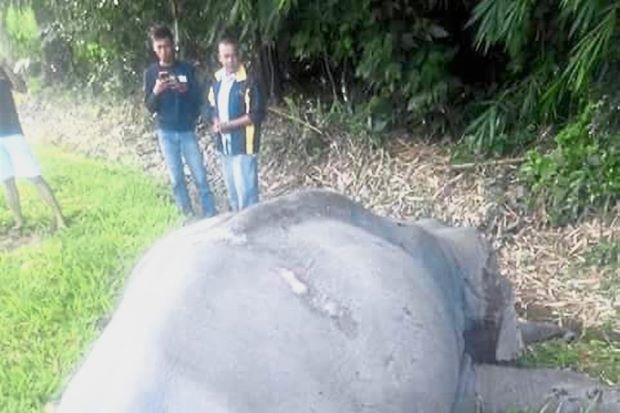 Images like the above were shared widely on social media yesterday and today