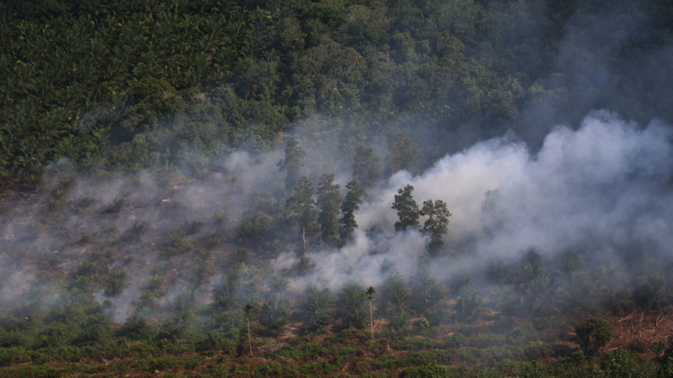 A peatland burns in Indonesia. Photo by Rhett A. Butler/Mongabay.