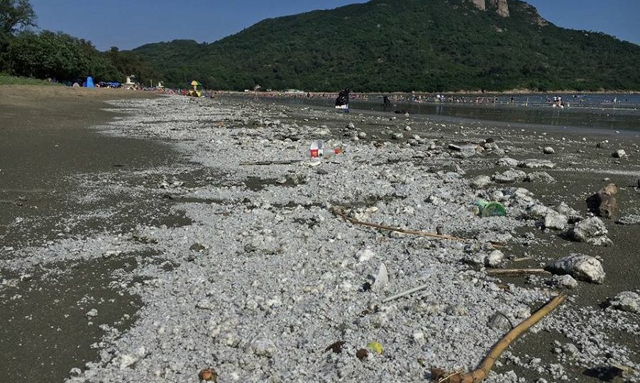 Lumps of palm oil were found on several beaches yesterday. Photo: Andy Stokes via Facebook