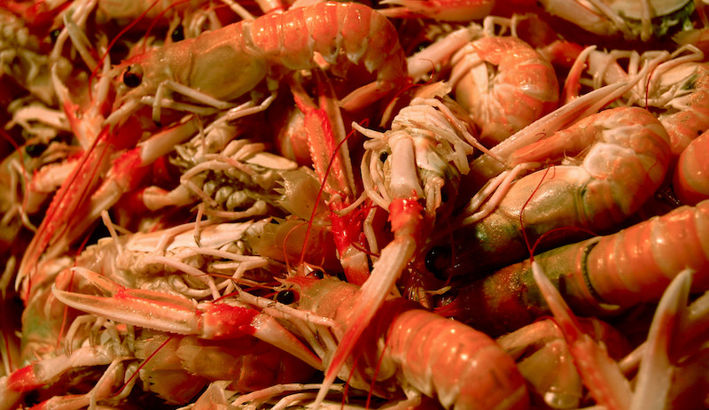 Photo: jayneandd/Flickr