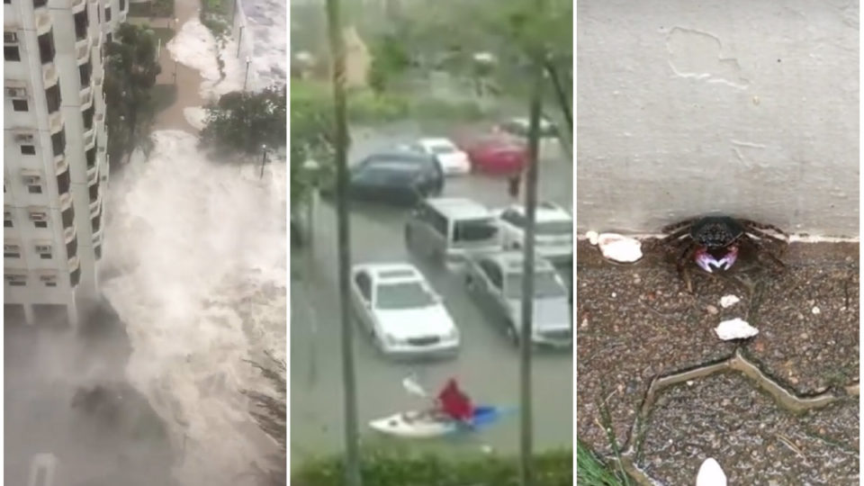 (L-R) Waves crashing onto the shore at Heng Fa Chuen housing estate, a Sai Kung resident kayaking through a submerged parking lot, and a crab which was washed ashore at Heng Fa Chuen. Photos: Facebook