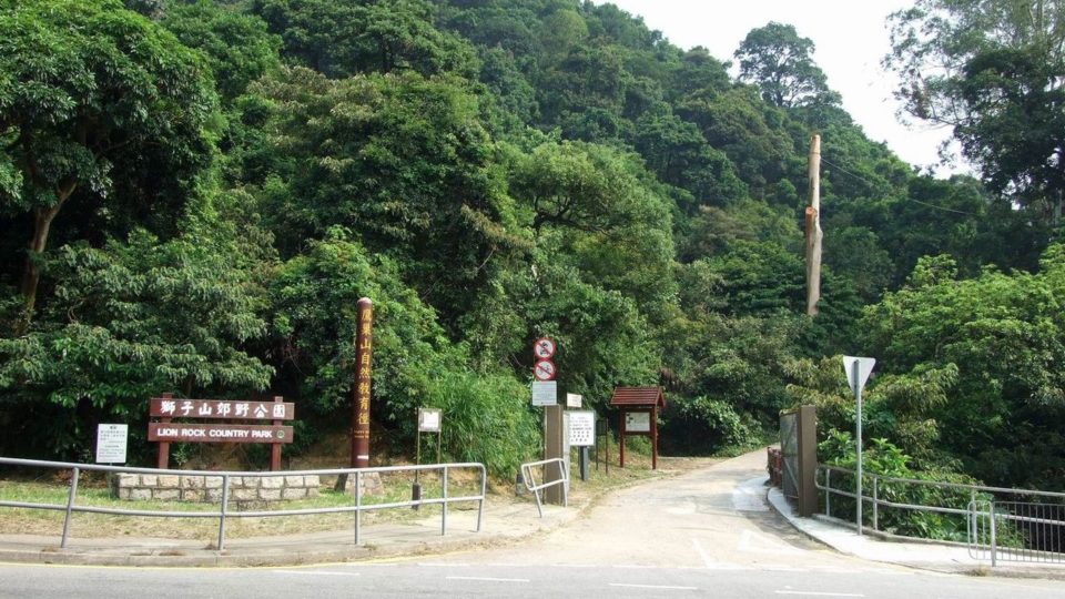 The Lion Rock Country Park, a popular hiking destination in Hong Kong. Photo: Chong Fat/Wiki Commons