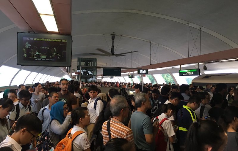 Photo: @seamusee / Twitter