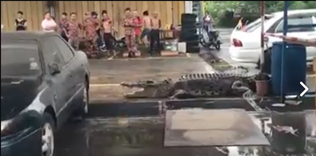 Hai gais via Facebook