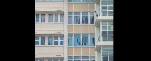 The woman survived the fall with a broken back 