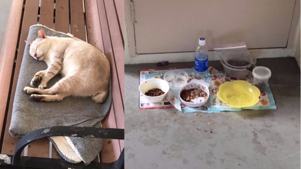 Photo: Jenn Low / Facebook